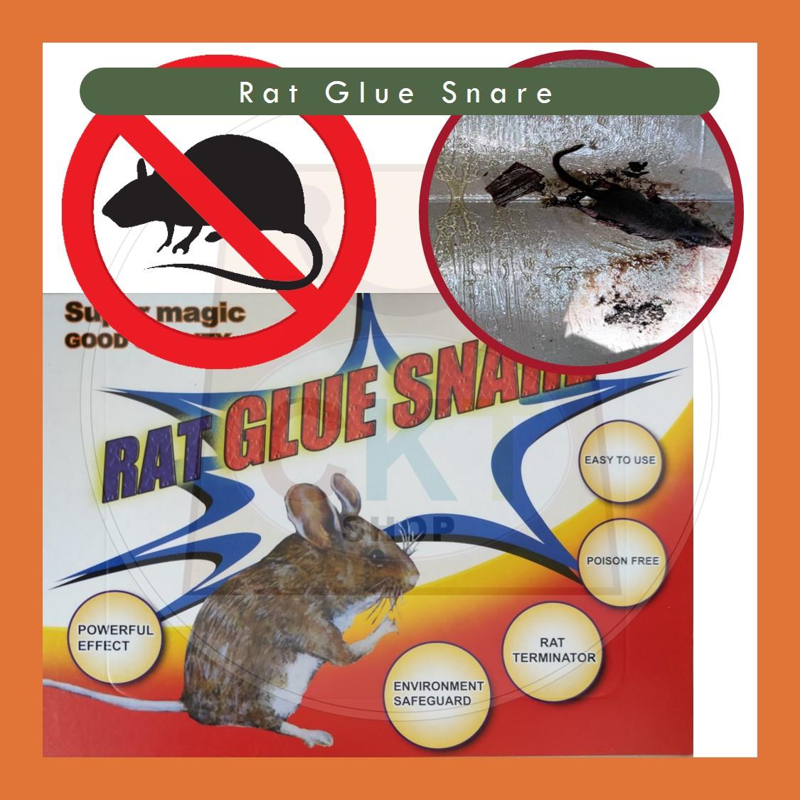 Mouse & Rat Sticky Glue Trap Boards for Pest Control Rat Glue Board Tikus Papan Pelekat Gum tikus Rat Glue Snare