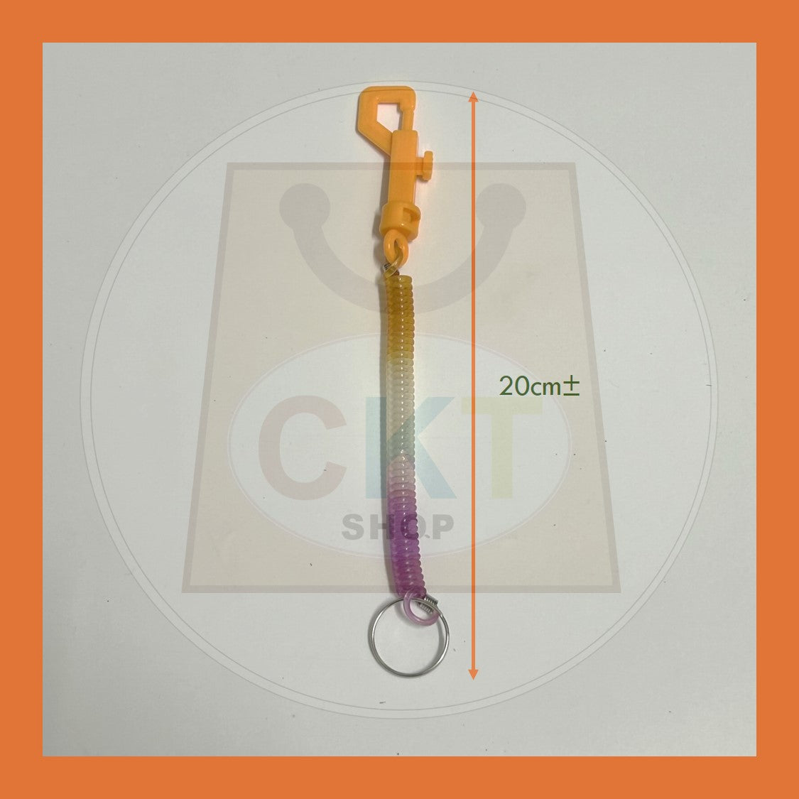 BULK PURCHASE - Spiral Keychain 12's